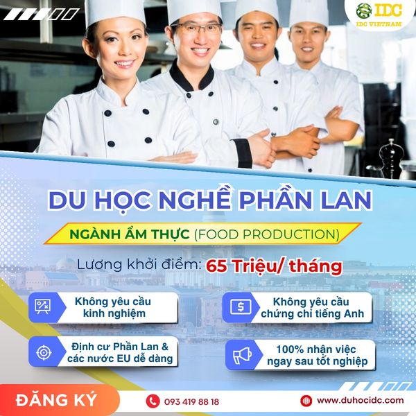 du hoc nghe phan lan